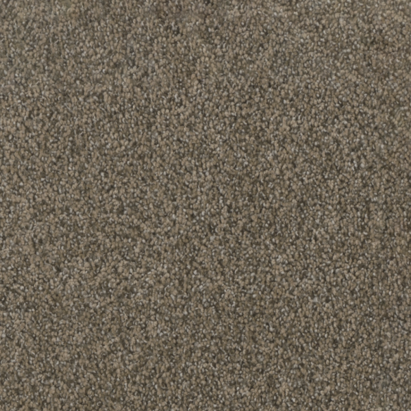 Dream Weaver Pine Valley I Smokey Taupe Collection