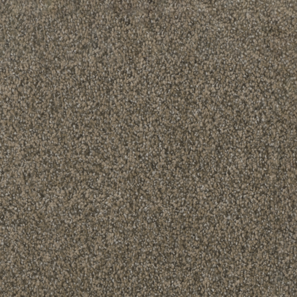 Dream Weaver Pine Valley II Smokey Taupe Collection