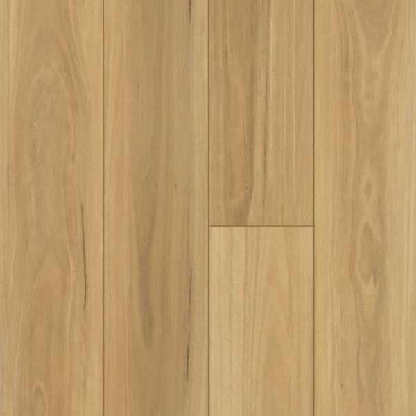 Shaw Floorte Distinction Plus Eucalyptus Collection
