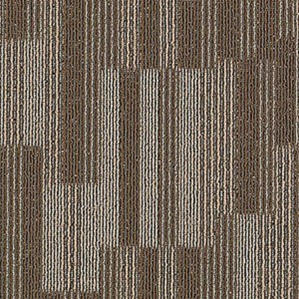 Carpet Tile Aladdin Go Forward Tile Ecoflex Matrix 24 X 24 24