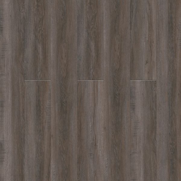 Pentz Avenue Woodland Taupe Collection