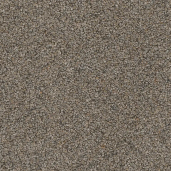 Phenix Tweed Plain Weave Collection