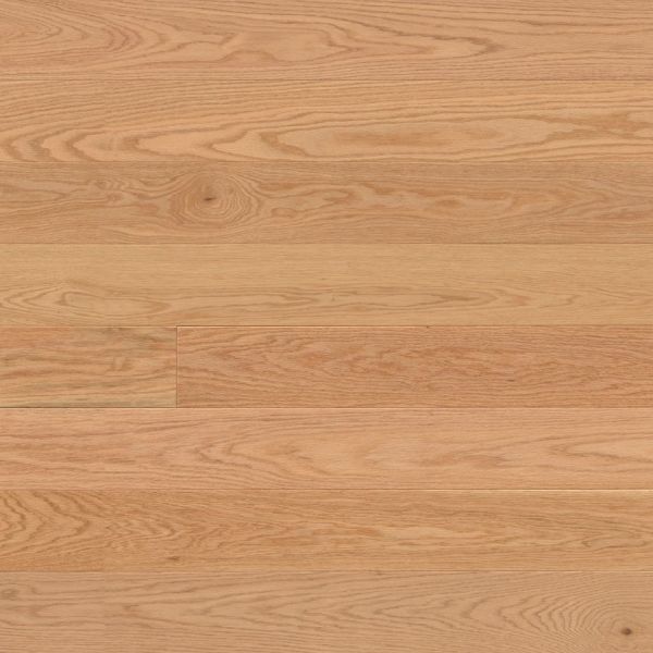 Monarch Benicia Red Oak Prime Collection