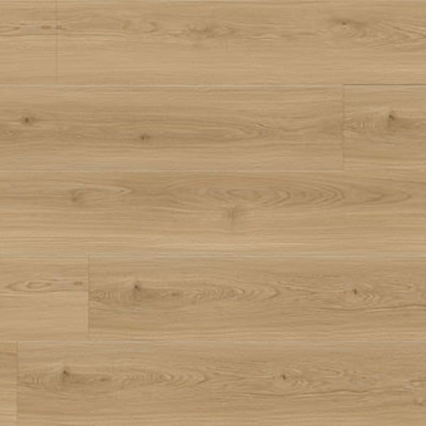 Republic Woodmax Bear Woods Bianco Romano Collection