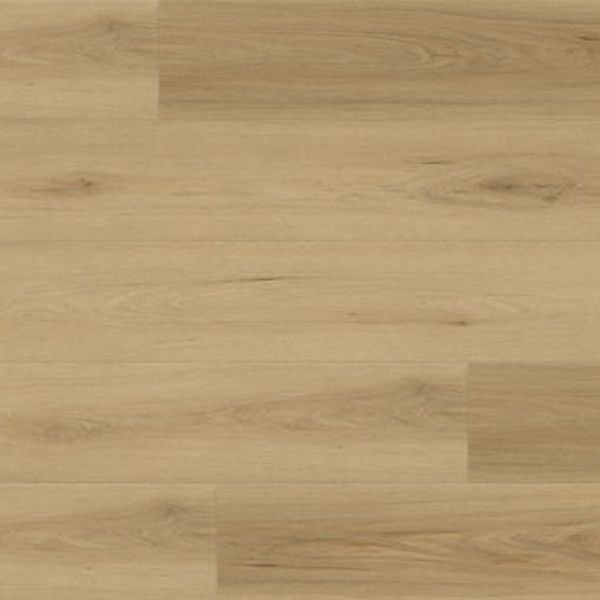 Republic Woodmax Bear Woods Siena Beige Collection