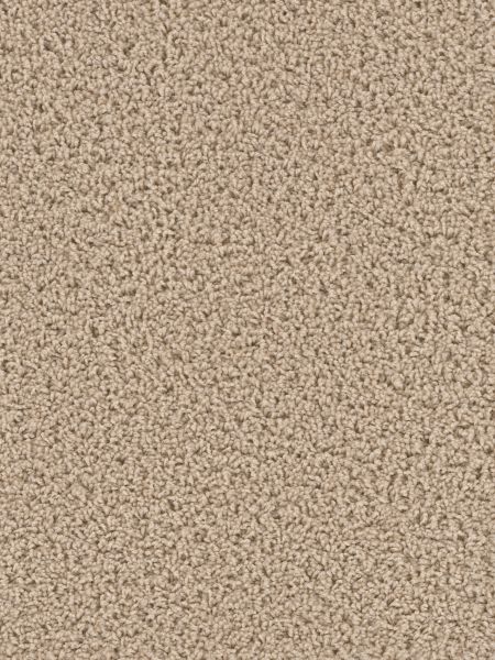 Carpet | Dreamweaver Texture Talk Of The Town Cookie Dough ...