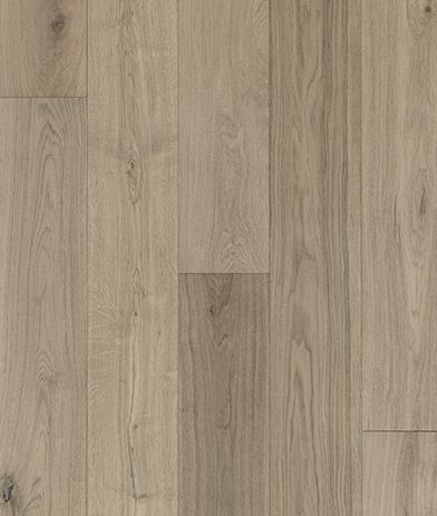 Shop Bella Cera Modena Enzo MONA559 Hardwood Flooring | Howard
