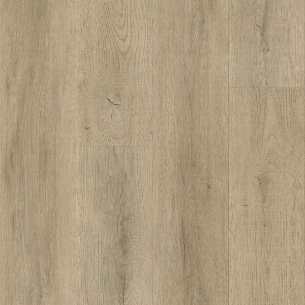CALI Select Turning Tide 7904005100 Shop Luxury Vinyl | Dolphin Carpet
