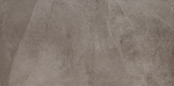 Shop Daltile Delegate Light Grey DL26XTP2040TX Tile & Stone