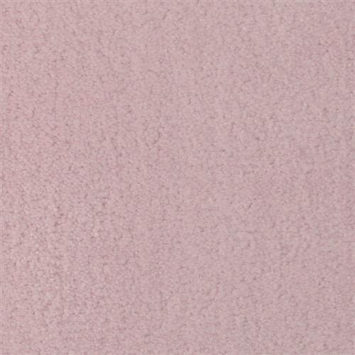 廃盤色　PANTYDROPPER【Dry Flower】POWDER PINK 廃盤色 PANTYDROPPER【Dry Flower】POWDER PINK 【公式通販】