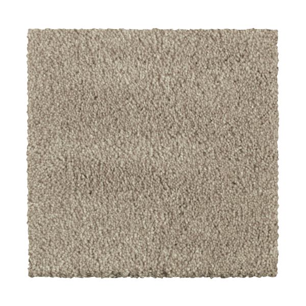 Shop Mohawk Everstrand Distinct Beauty II Java 2W54-833 Carpet
