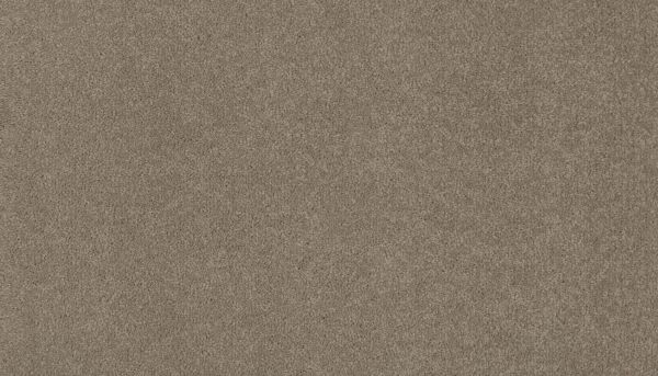 Mohawk Ultrastrand Coastal Vision III Bliss 3D45-759