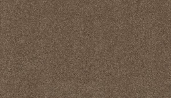 Mohawk Ultrastrand Coastal Vision III Driftwood 3D45-779