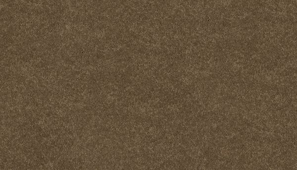 Mohawk Ultrastrand Coastal Vision III Tradition 3D45-783