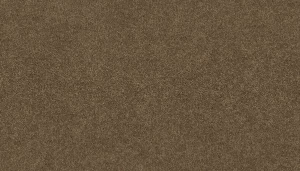 Mohawk Ultrastrand Coastal Vision III Oyster Bar 3D45-784