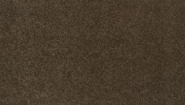 Mohawk Ultrastrand Coastal Vision III Treasure Chest 3D45-884