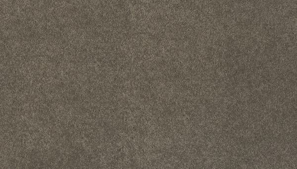 Mohawk Ultrastrand Coastal Vision III Dolphin 3D45-964