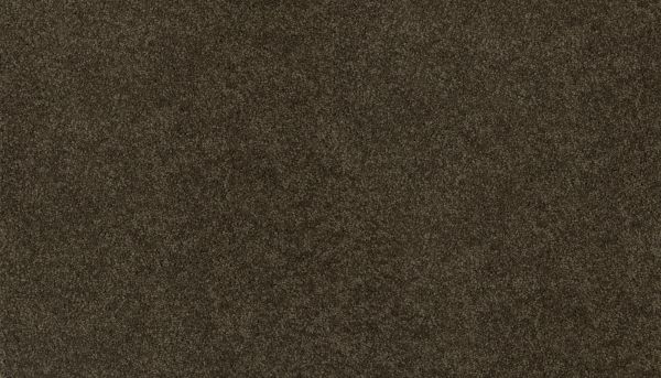 Mohawk Ultrastrand Coastal Vision III Eternity 3D45-972