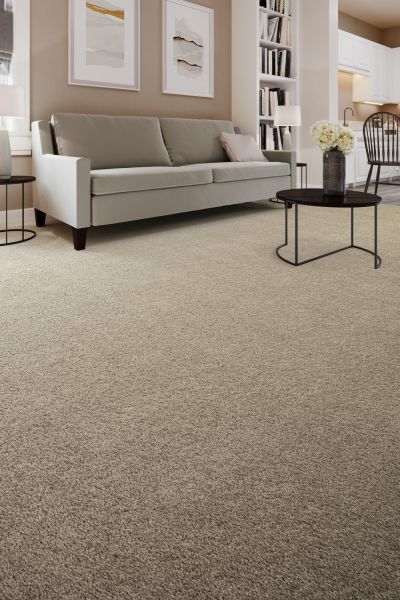 Shop Mohawk Everstrand High Hand II Celtic Haze 3G79-989 Carpet