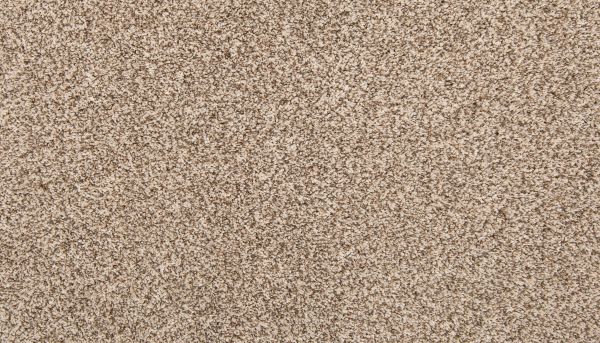 Shop Mohawk Everstrand Color Classics II Whirlwind 3J79-729 Carpet