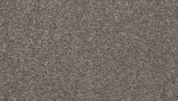 Shop Mohawk Everstrand Tectonic Pewter 3K27-965 Carpet | Howard