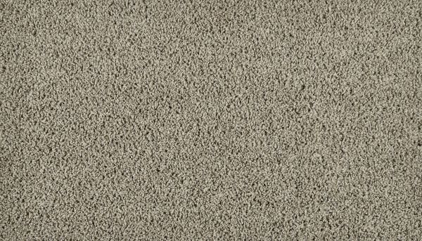 Shop Mohawk Everstrand Hartley Cumulus 3K47-928 Carpet | Howard