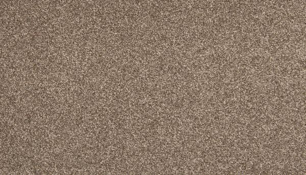 Mohawk Everstrand Zestful Traits I Filigree 3K64-865