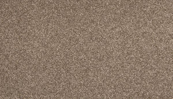 Mohawk Everstrand Zestful Traits II Filigree 3K65-865