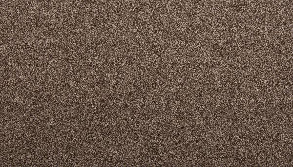 Mohawk Everstrand Zestful Traits II Melted Chocolate 3K65-889