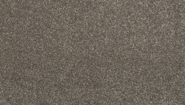 Mohawk Everstrand Zestful Traits II Steel Sparks 3K65-969