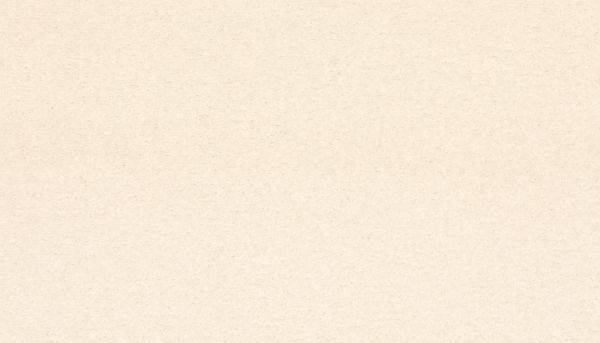 Mohawk Smartstrand Lake House I Stone White 3L04-700