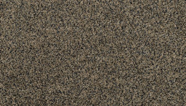 Shop Mohawk Petpremier Purrsonality III Dark Hour 3M38-598 Carpet