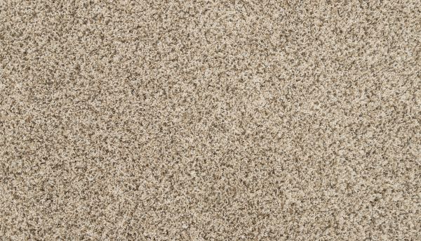 Mohawk Petpremier Rufferee II Frosty Spice 3M51-769