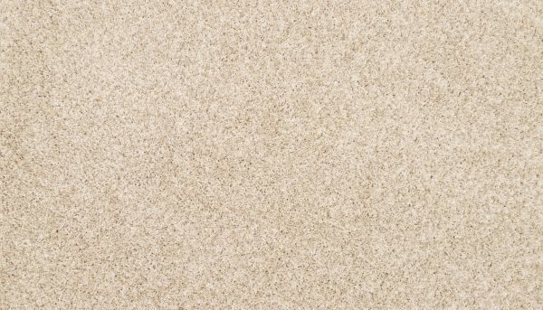 Shop Mohawk Petpremier Furocious II Frosted Almond 3M53-702 Carpet