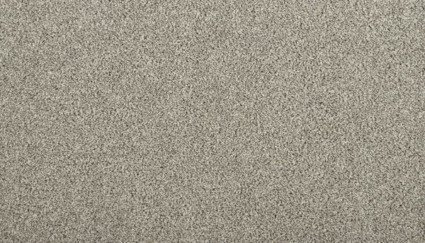 Shop Mohawk Everstrand Zenith Deep Breath 3N18-928 Carpet | Jabara's
