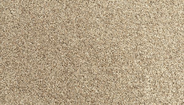 Shop Mohawk Everstrand Assorted Elements I Flax Seed 3N58-789