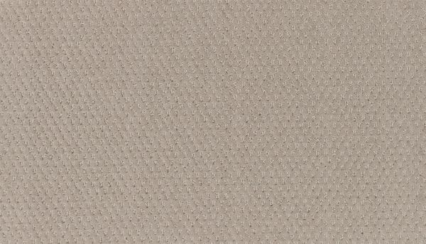 Shop Mohawk Everstrand Dynamic Momentum Spirited 3N64-819 Carpet