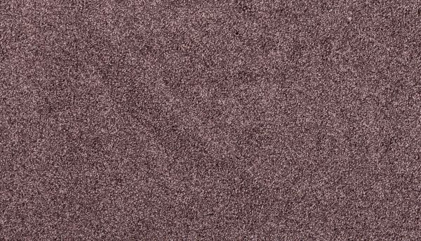 Karastan Smartstrand Victoria Peak II Baccara 3N85-9444