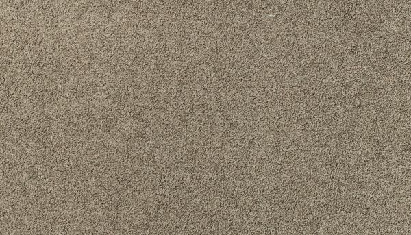 Karastan Smartstrand Victoria Peak II Talbot 3N85-9967