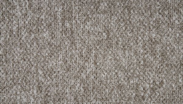 Shop Mohawk Everstrand Cherry Way Driftwood 3O38-868 Carpet