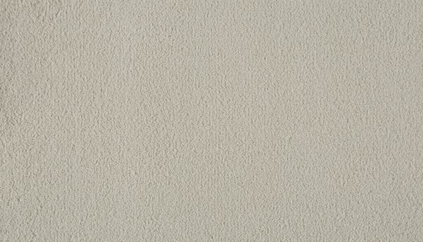 Shop Karastan Kashmere Soft Awakening Lotus White 3O47-9707 Carpet