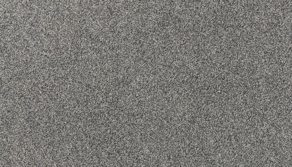 Karastan Smartstrand Vista View II Black Point 43798-9985