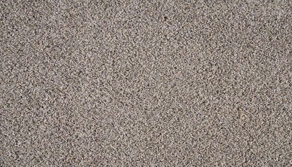 Shop Portico Smartstrand Uplift 301 BP60D-301 Carpet | Flooring