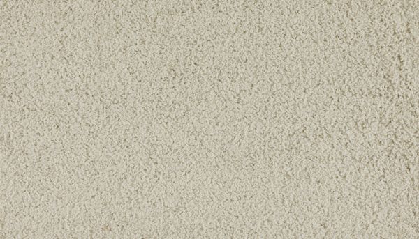 Shop Portico Everstrand Vargas Voyager BP62D-717 Carpet | Flooring