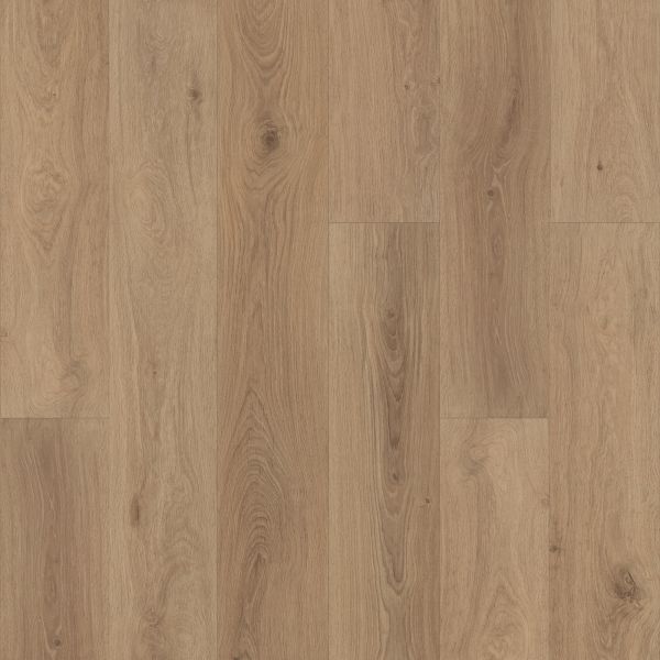 Karastan Luxecraft Serenity Sandalwood Grove Belle KHS23-444 Shop