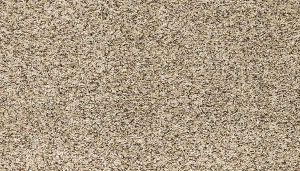 Shop Mohawk Everstrand Charger 2 Cascade PM541-728 Carpet