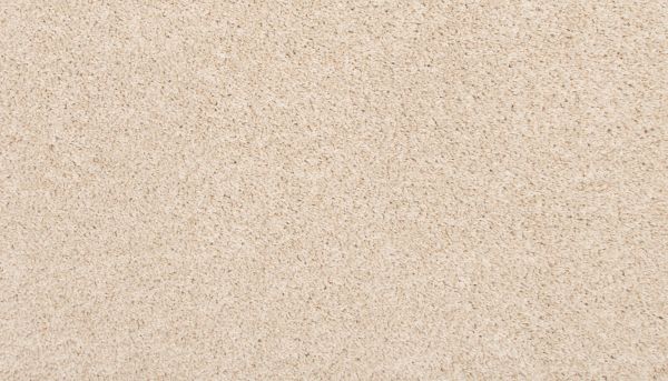 Shop Mohawk Everstrand Spectrum Linen Lace PM561-702 Carpet | Luna