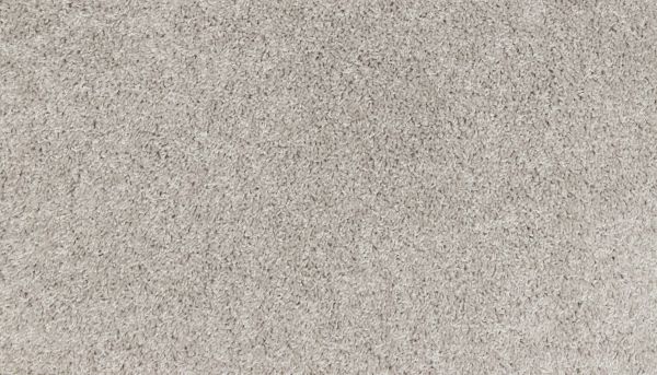 Shop Mohawk Smartstrand Neutral Shift Plus Suede PM573-822 Carpet