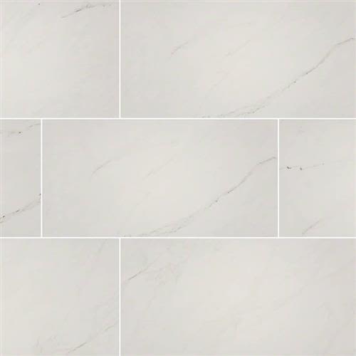 Shop MSI Aria Ice - 12x24 NARICE1224P Tile & Stone | Howard