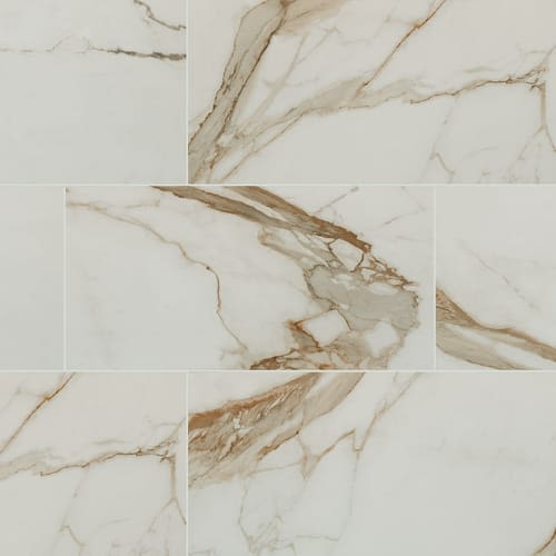 Shop MSI Regallo Calacatta Marbella - 24x48 Polished